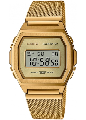 Часы CASIO A1000MG-9EF