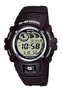 Часы CASIO G-2900F-8V